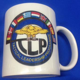 Taza TLP Tactical Leadership Programme